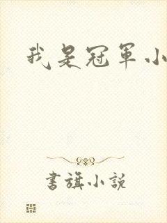 我是冠军小说