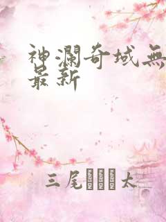 神澜奇域无双珠最新