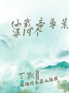 仙武帝尊叶辰老婆19个