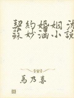 契约婚姻 沈浪苏妙涵小说