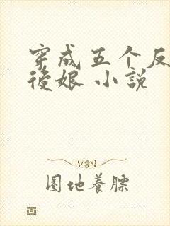 穿成五个反派的后娘 小说