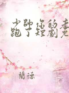 少帅你的老婆又跑了短剧免费观看