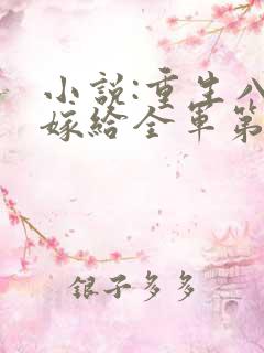 小说:重生八零嫁给全军第一硬汉