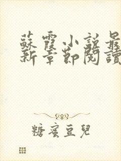 苏霞小说最新更新章节阅读