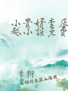 小贵婿李辰安穿越小说免费阅读