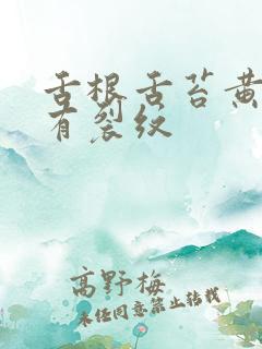 舌根舌苔黄厚腻有裂纹