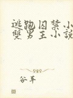 逃跑囚禁小少爷双男主小说推荐