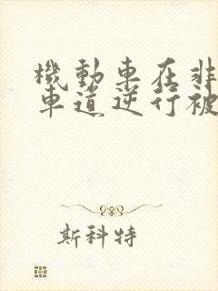 机动车在非机动车道逆行被撞