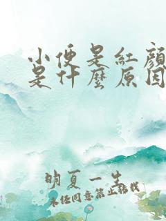 小便是红颜色的是什么原因引起的