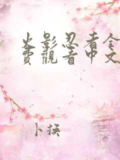 火影忍者全集免费观看中文