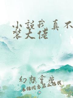 小说我真不是女装大佬