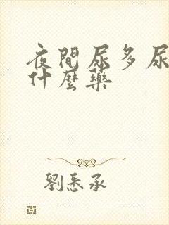 夜间尿多尿频用什么药