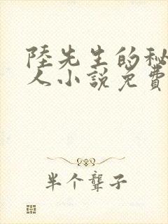 陆先生的秘密恋人小说免费阅读