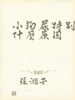 小狗尿特别黄是什么原因