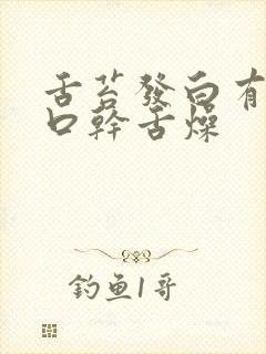 舌苔发白有齿痕口干舌燥