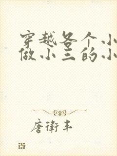 穿越各个小世界做小三的小说