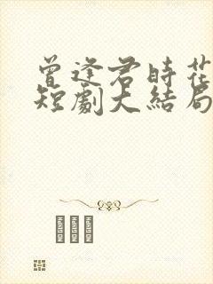 曾逢君时花照眼短剧大结局