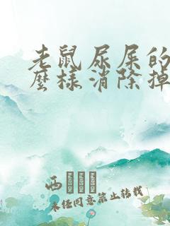 老鼠尿屎的味怎么样消除掉