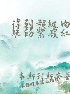 得到超级肉禽系统的紫岭红山