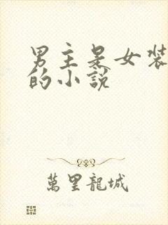 男主是女装大佬的小说
