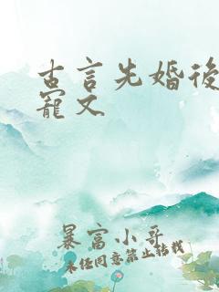 古言先婚后爱甜宠文