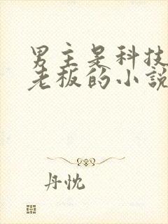 男主是科技公司老板的小说