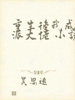 重生后我成了反派大佬 小说