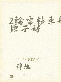 2轮电动车哪个牌子好