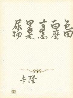 尿里有白色浑浊物是怎么回事