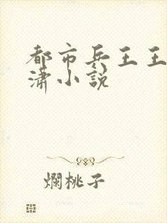 都市兵王王东唐潇小说