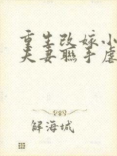 重生改嫁小叔,夫妻联手虐渣