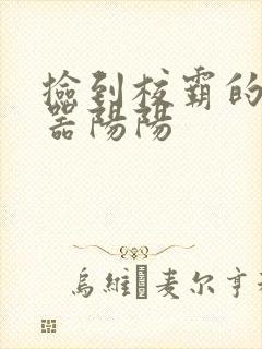 捡到校霸的遥控器阳阳