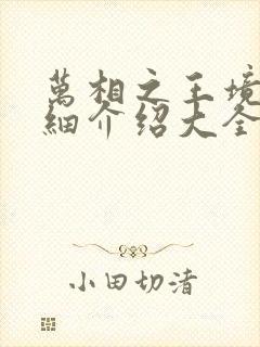 万相之王境界详细介绍大全