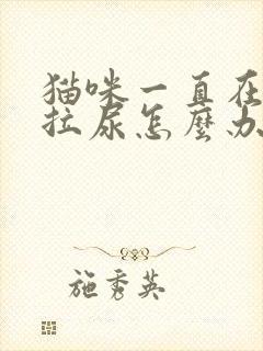 猫咪一直在床上拉尿怎么办