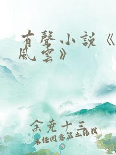 有声小说《官路风云》