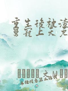 重生后被渣男舅舅宠上天免费播放