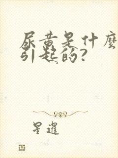 尿黄是什么原因引起的?