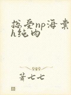 总受np海棠高h纯肉
