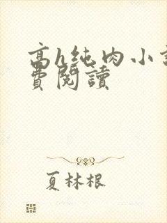 高h纯肉小说免费阅读