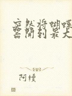 突然将蝴蝶遥控器开到最大