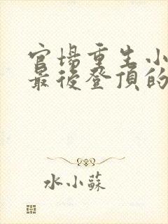 官场重生小说 最后登顶的小说官场小说