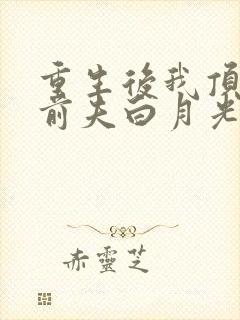 重生后我顶替了前夫白月光最新版