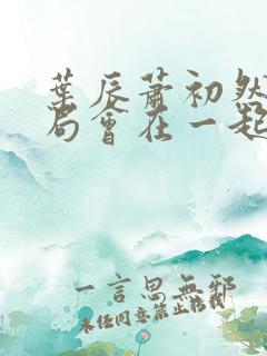 叶辰萧初然大结局会在一起吗