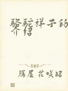 骆驼祥子的作者介绍