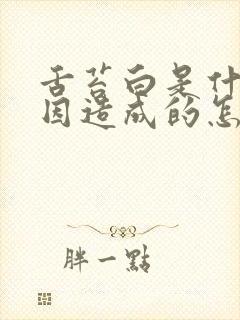 舌苔白是什么原因造成的怎么办