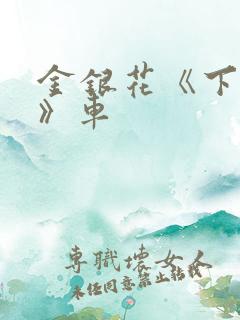 金银花《下厨房》车