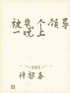 被几个领导玩弄一晚上