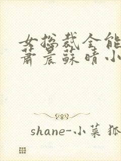 女总裁全能兵王萧晨苏晴小说