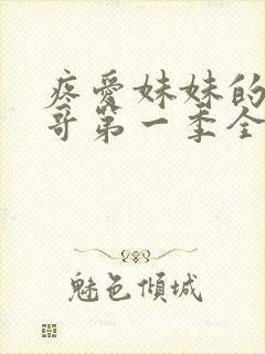 疼爱妹妹的好哥哥第一季全集免费观看 动漫