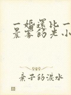 一婚还比一婚高晨雾的光小说